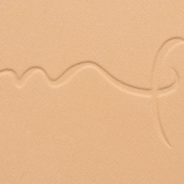 COLOR SKIN POWDER NATURAL TAN - Image 2