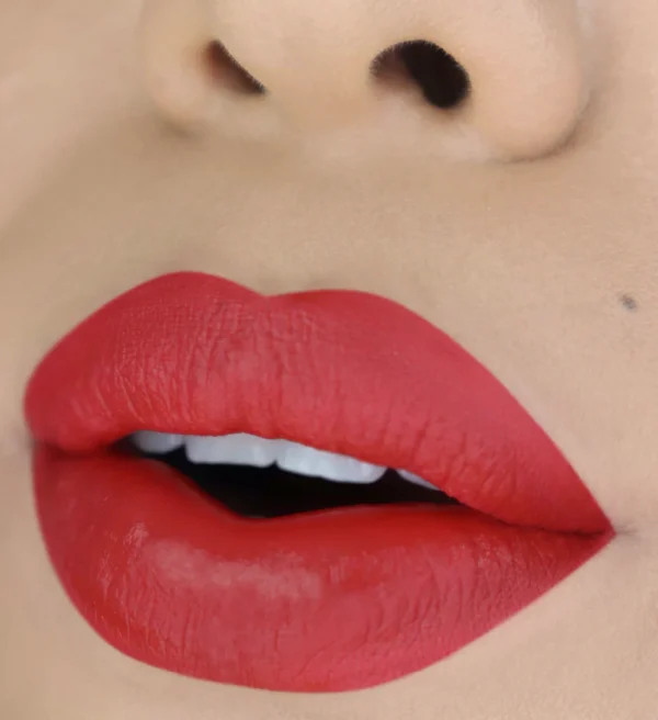 MATTE LIQUID LIPS 26 BRICK - Image 3