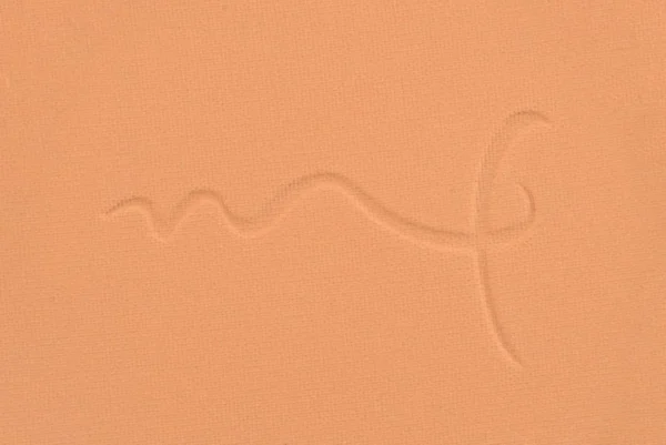COLOR SKIN POWDER RICH TAN - Image 2